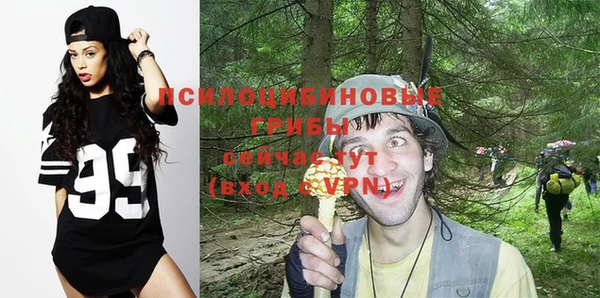 стафф Баксан