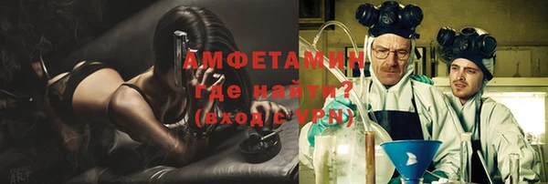 PSILOCYBIN Балахна