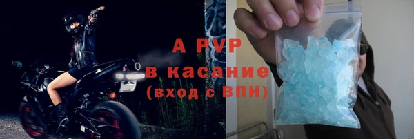 PSILOCYBIN Балахна