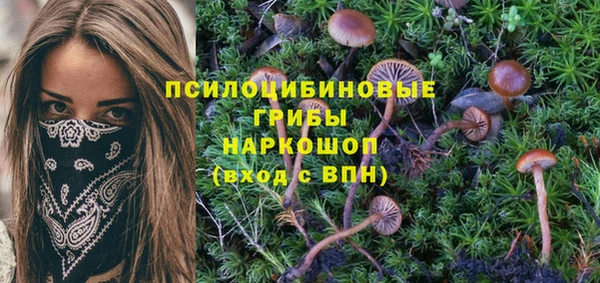 PSILOCYBIN Балахна