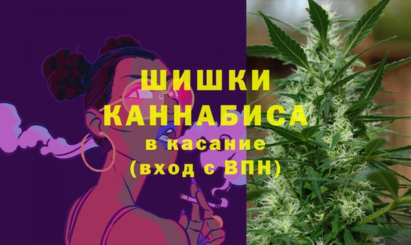 PSILOCYBIN Балахна
