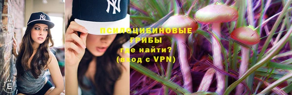 PSILOCYBIN Балахна