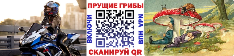Псилоцибиновые грибы Psilocybe  закладка  Новый Оскол 